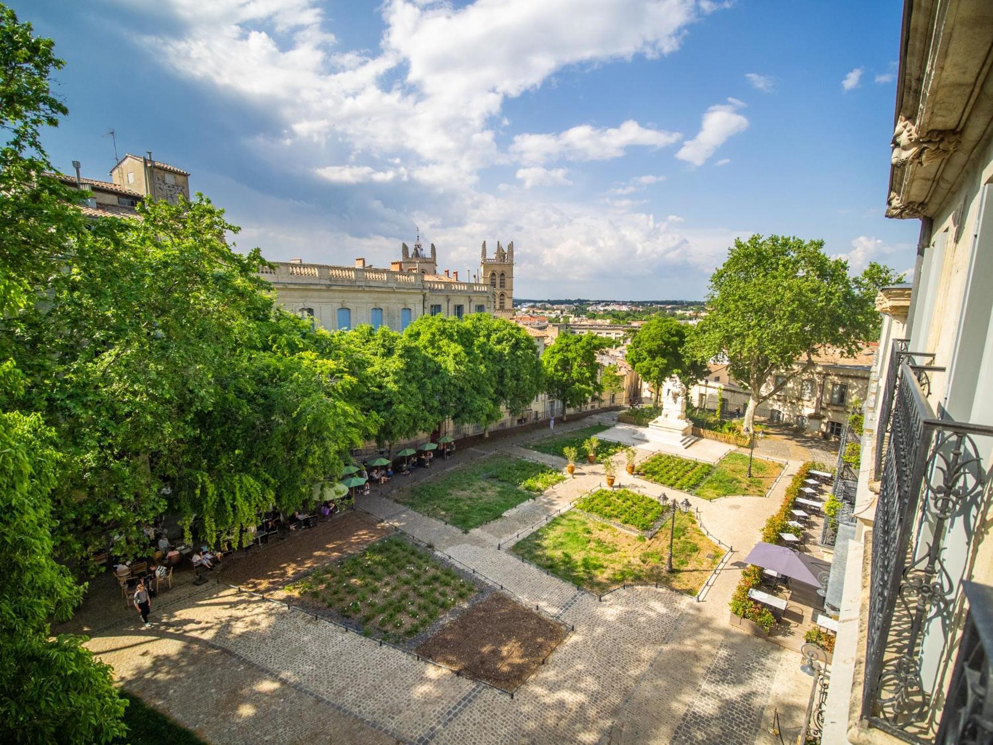 Le Platane De La Canourgue Montpellier Ngoại thất bức ảnh