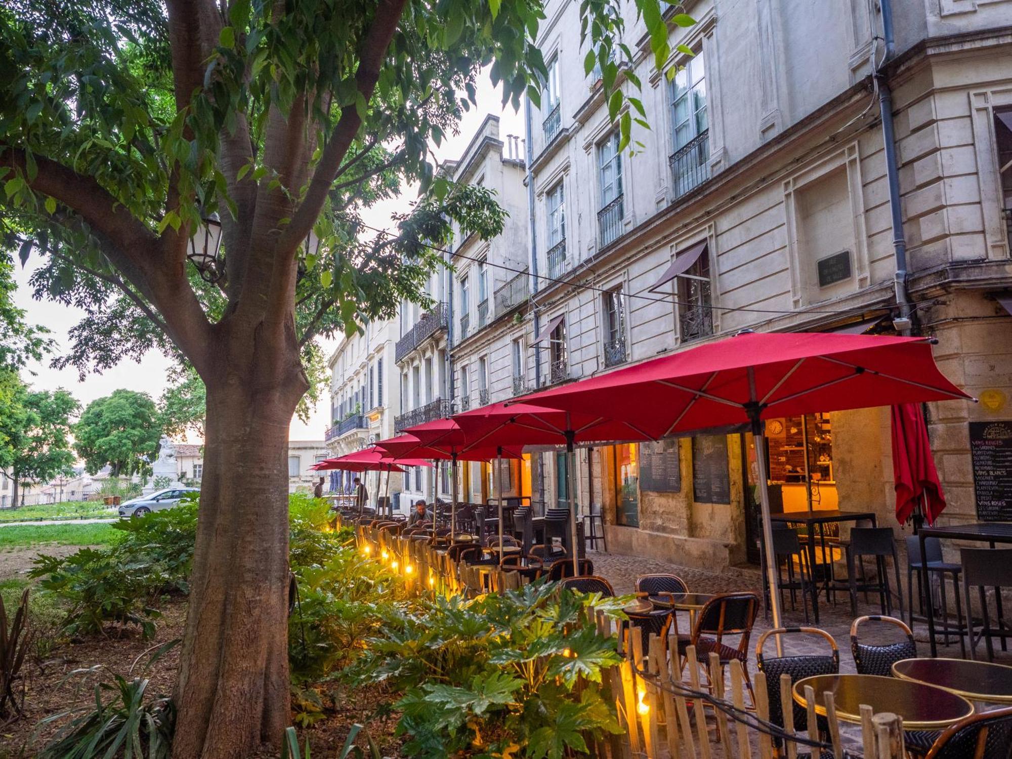 Le Platane De La Canourgue Montpellier Ngoại thất bức ảnh