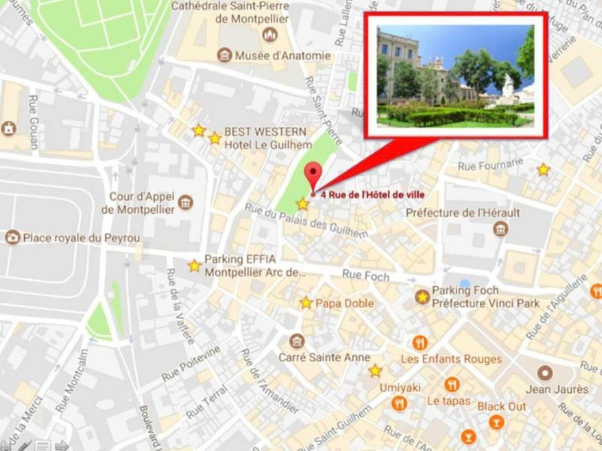 Le Platane De La Canourgue Montpellier Ngoại thất bức ảnh